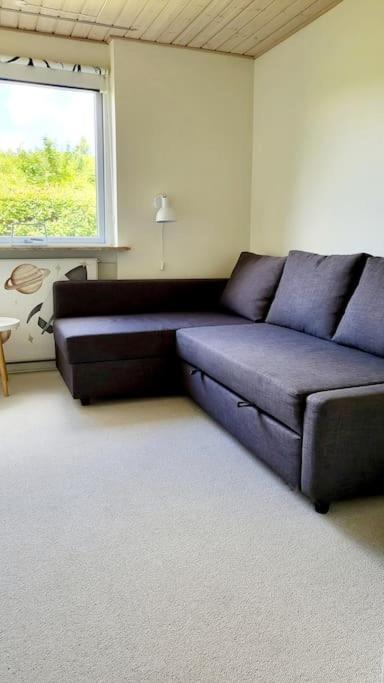 Thuya Rica House Villa Billund Bagian luar foto