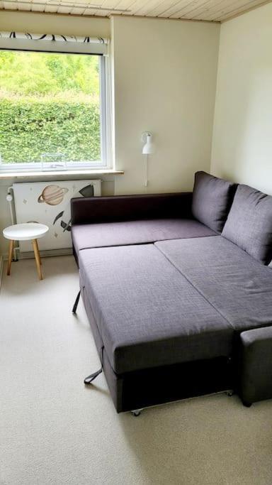 Thuya Rica House Villa Billund Bagian luar foto